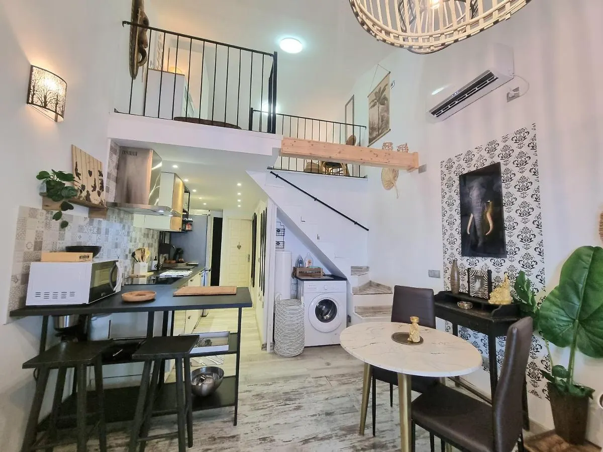 Top 2 Sun Club Bungalow Terraza Maspalomas  0*, Maspalomas (Gran Canaria) Spain